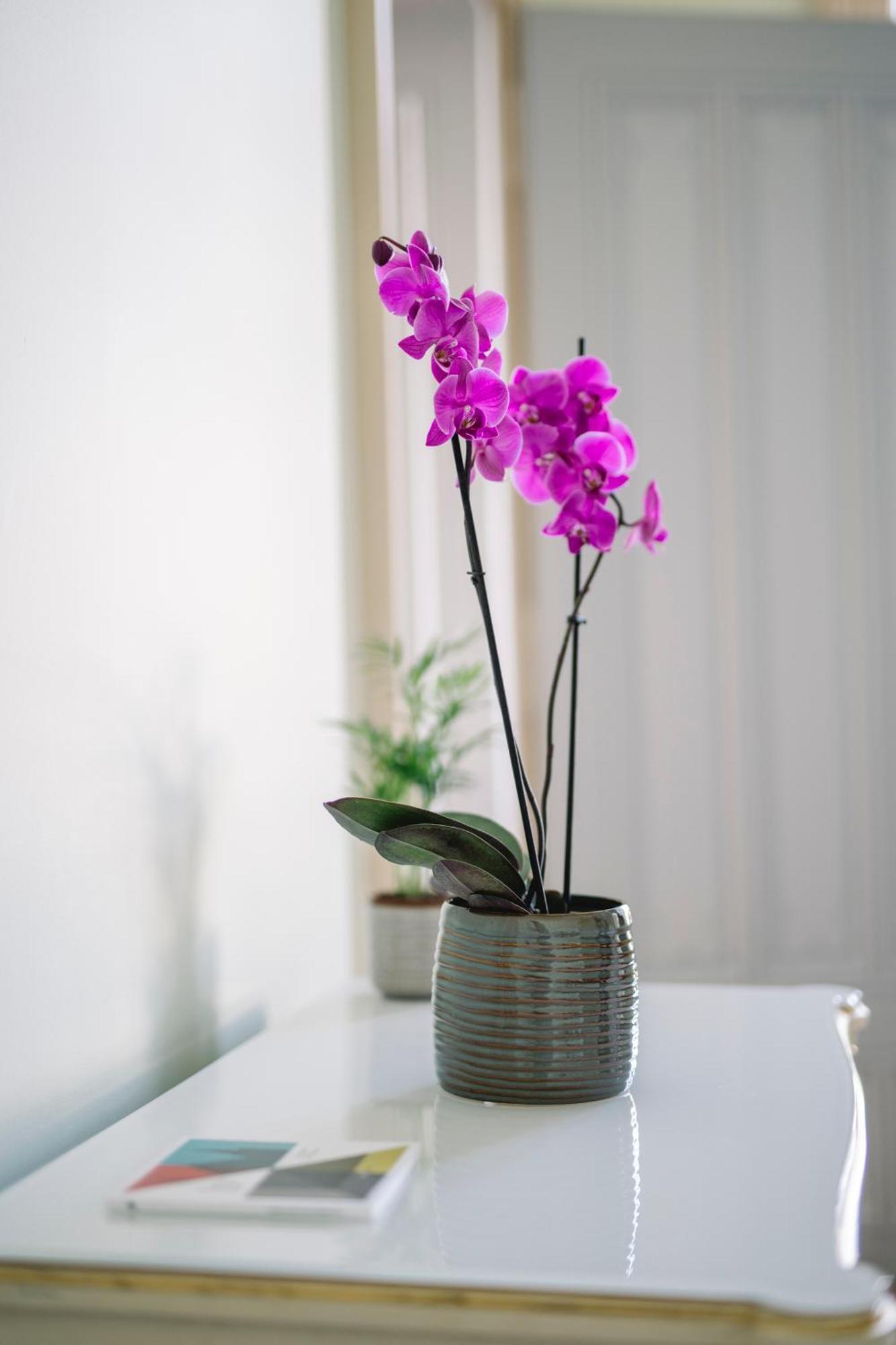 Chateau De L'Aile- Boutique Suites เวอเวย์ ภายนอก รูปภาพ
